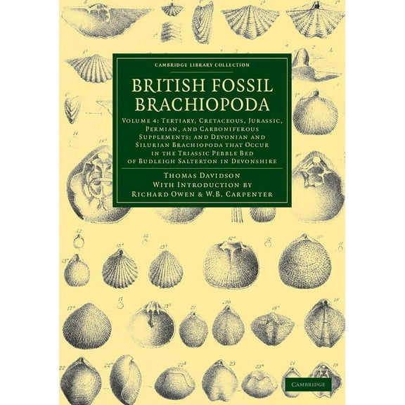 British Fossil Brachiopoda - Volume 4, (Paperback)