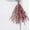 Red, variant on 12Pcs 17 Inch Preserved Dried Eucalyptus Bundles 40g Lavender Eucalyptus for Shower, Dried Eucalyptus Bunch for Vase Filler, Dried Flowers Plant Arrangement,