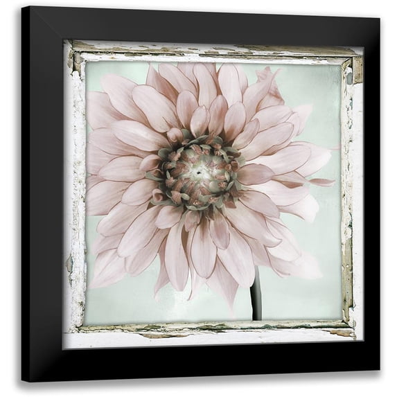 Sommers, Mindy 12x12 Black Modern Framed Museum Art Print Titled - Garden and Mint II