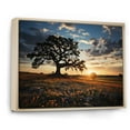 thumbnail image 2 of Designart "Sunset Orange Bonnets Field" Blue Bonnets Floater Framed Wall Art Prints, 2 of 5