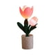 thumbnail image 5 of Lámpara de escritorio con forma de flor, funciona con pilas, bonita luz de noche, lámpara de mesita de noche, ambiente Tulipán, 5 of 8