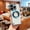 Blue, variant on Magnetic Case for iPhone 12 with Back Magnifier, Compatible with MagSafe, Plating Bumper Frameless Borderless Minimalist Design with Camera Lens Protector for Men Women Girls, Darkgreen
