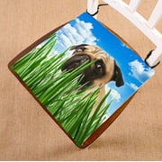 BSDHOME Animal Chair Pad, Funny Puppy Pug in the Grass against the Sky Seat Cushion Chair Cushion Floor Cushion Two Sides Size 18x18 inches