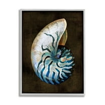 Stupell Industries Dark Nautilus Shell Nature Painting Gray Framed Art Print Wall Art, 24 x 30