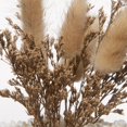 thumbnail image 4 of Bouclair Natural Dried Flowers Glass Dome, 4 of 10