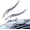 Silver, variant on Dragon Horn Car Roof Decoration, UniversalAuto Roof Decoration, High-Strength All-Weather Waterproof 3D Bull Horns Stickersfor SUV, Sedan, Hatchback