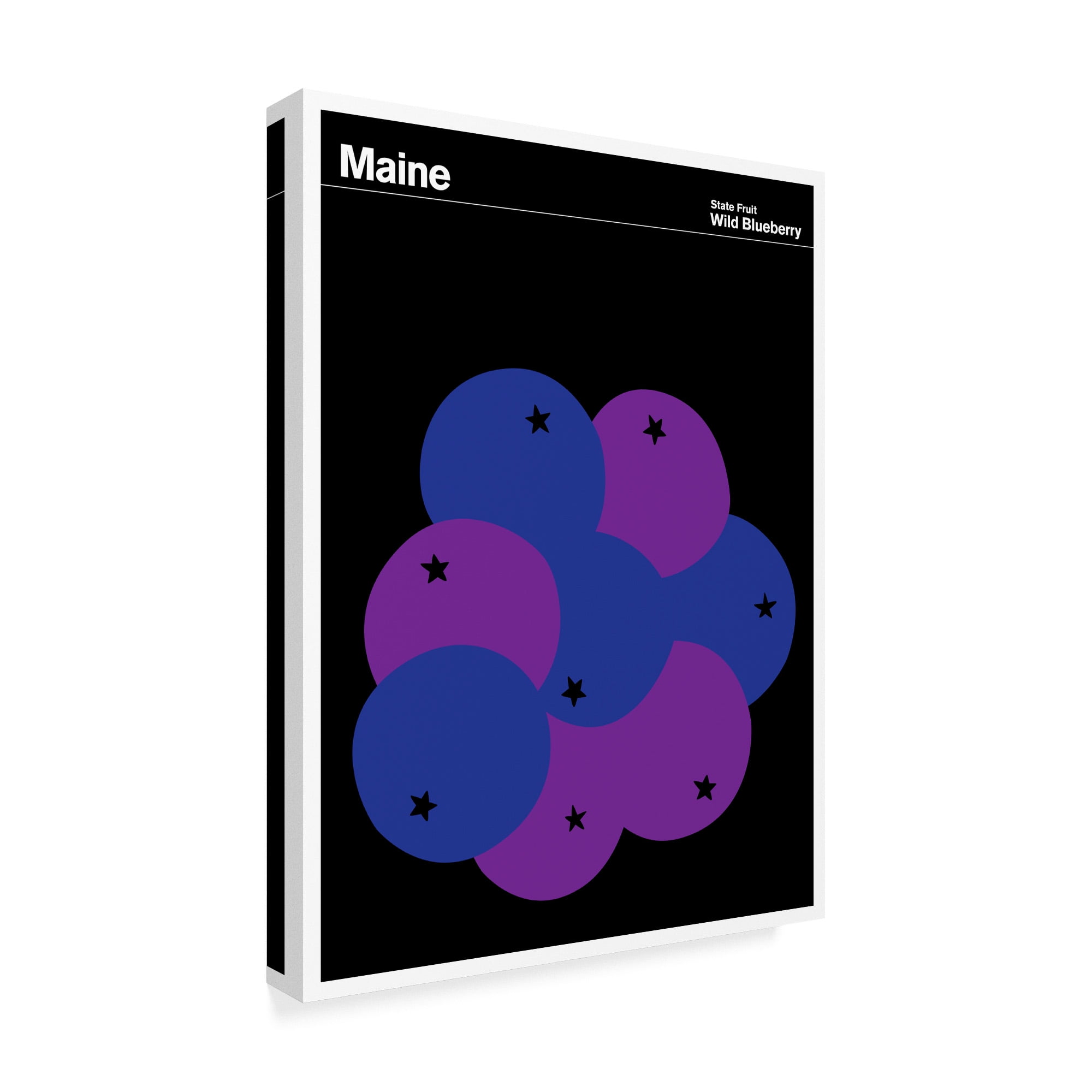 Trademark Fine Art 'Maine Wild Blueberry' Canvas Art by Print Collection - Artist