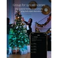 thumbnail image 5 of Twinkly Strings + Music Bundle 157.5-Ft 600 LED RGB Christmas Lights w/Music Syncing Device, 5 of 13