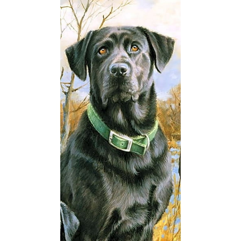 Labrador blanket throw hot sale