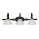 thumbnail image 1 of Toltec Lighting 163-DG-7195 Elegante 3 Light Bath Bar Shown In Dark Granite Finish With 7 Italian Ice Glass, 1 of 1