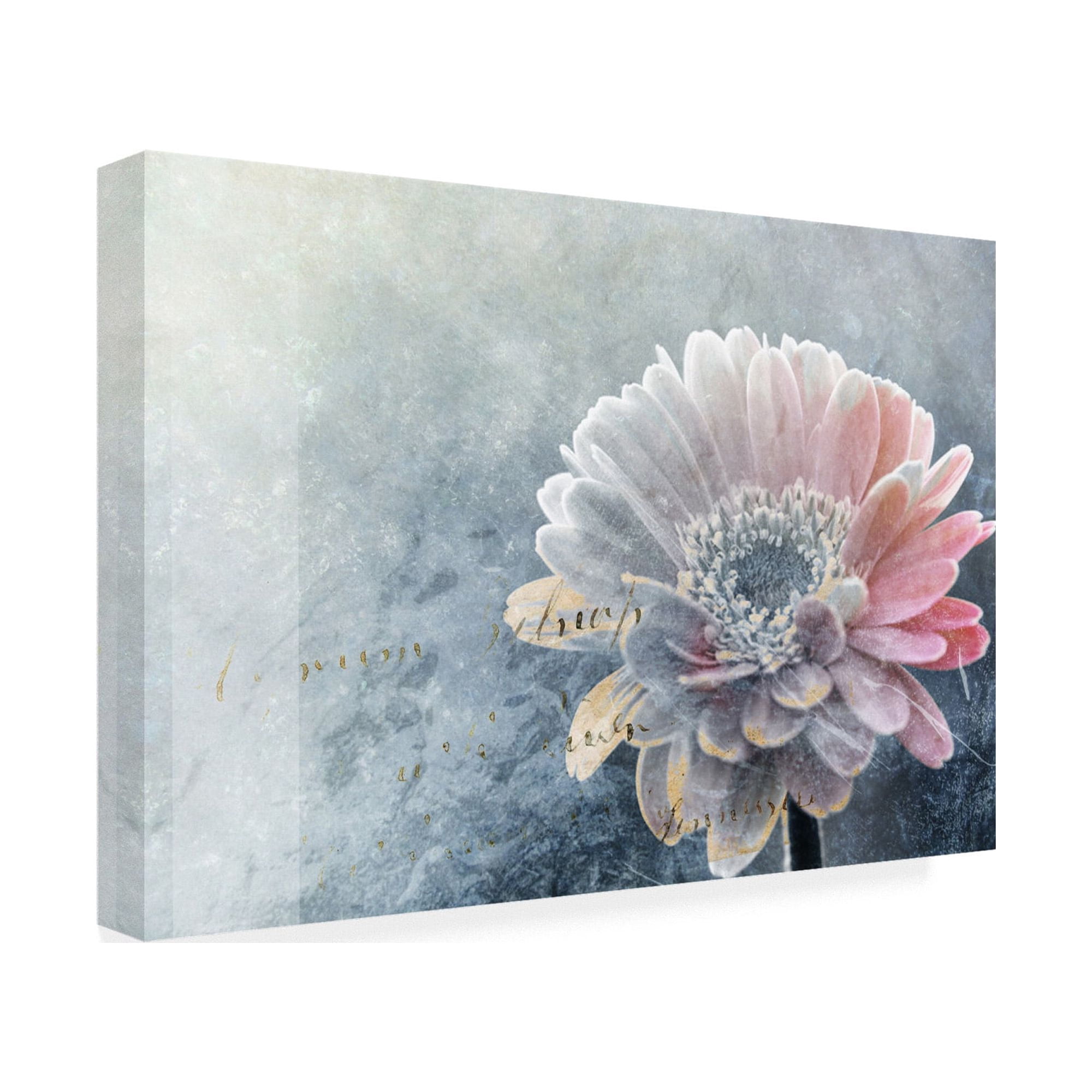 Trademark Fine Art 'Winter Flower' Canvas Art by Incado