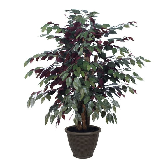 Vickerman 4' Artificial Capensia Extra Full Bush, Brown Plastic Container.