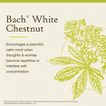 thumbnail image 3 of Bach Original Flower Remedies, White Chestnut - 20 mL Dropper, 3 of 6