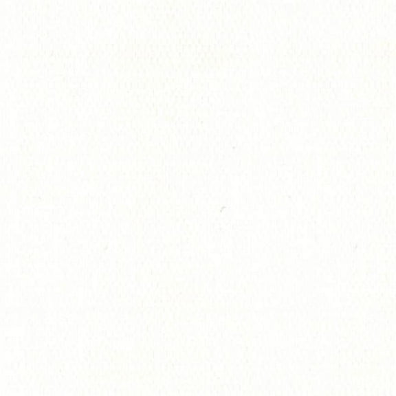 WeatherMax 29371 80 in. Saturamax Awning Fabric, White