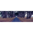 thumbnail image 3 of Berenholtz, Richard 24x11 Black Modern Framed Museum Art Print Titled - Monterey Cypress Trees Point Reyes California, 3 of 5