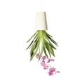 thumbnail image 1 of Maceta Colgante Invertida Chica BOSKKE Sky Planter SKY-RS-WH-01, 1 of 3