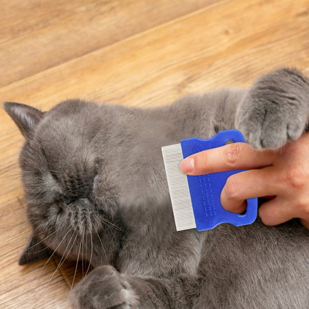 Flea comb for cats cheap walmart