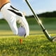thumbnail image 5 of Greeniant 10 piezas 1 Juego de pelotas de Golf colorido pequeño accesorio de Golf portátil práctica pelota flotante para entrenadores usuarios adultos Golf blanco Greeniant OD003040-06, 5 of 6