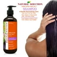 thumbnail image 2 of WBM Shampoo, Soothing & Moisturizing, Anti-dandruff shampoo, Daily Care for All Hair Types - (Pack of 3), 2 of 5