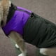 thumbnail image 4 of Ropa para Mascotas - Poliéster Morado Pet Impermeable Chaqueta de plumón Chaleco Ropa Abrigo Grueso Grueso para Perros Grandes(2XL), 4 of 5