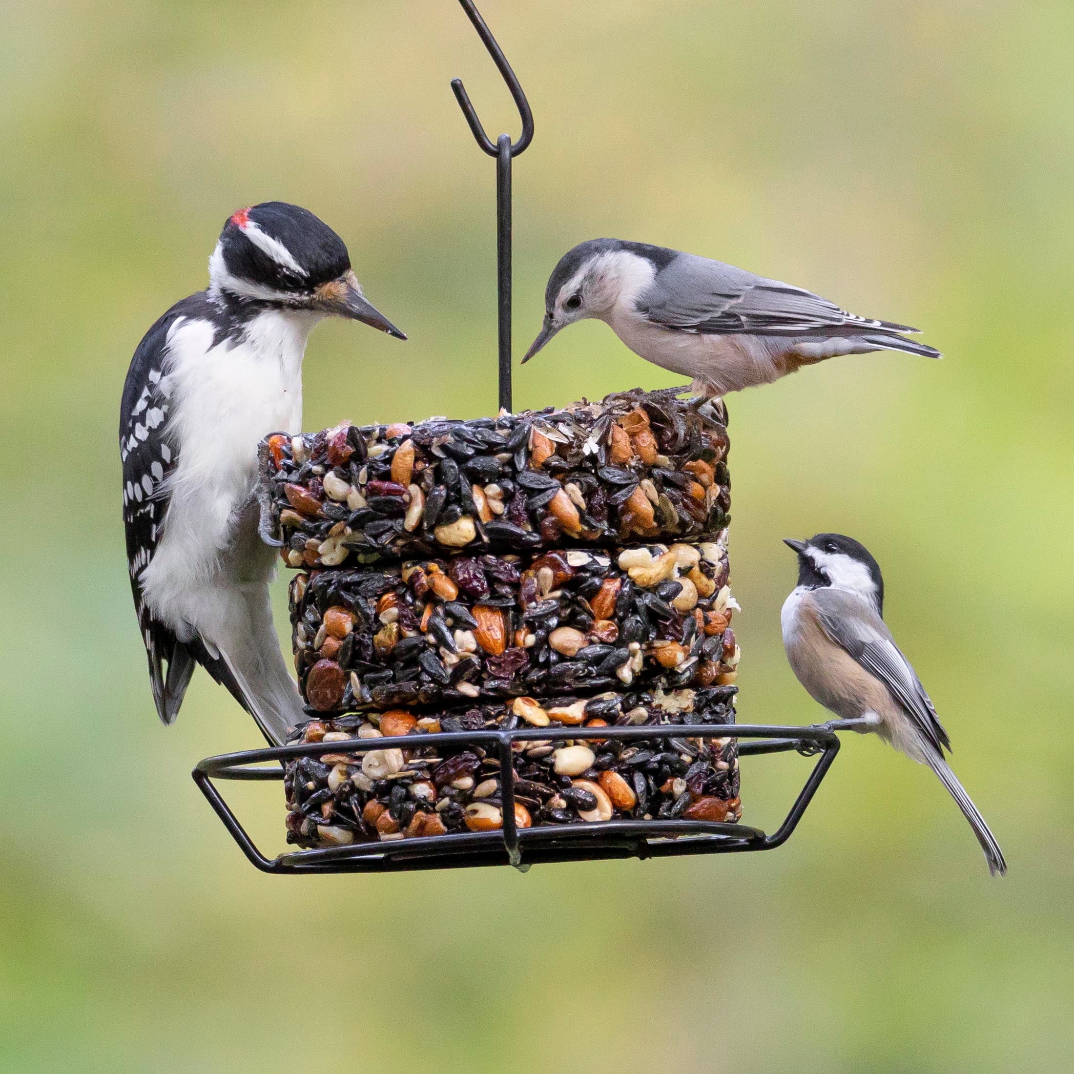 (2 pack) Audubon Park Nut & Berry Snack Stack Wild Bird Food, Dry, 1 Count Per Pack, 7.5 oz.