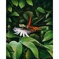 thumbnail image 2 of Nawrocke, Bruce 12x14 White Modern Wood Framed Museum Art Print Titled - Snacking Butterfly, 2 of 4