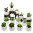 thumbnail image 3 of Plantas de peluche simuladas Plantas en macetas de cerámica Bonsái de peluche simulado Flores simuladas Decoración de interiores Plantas verdes, 3 of 5