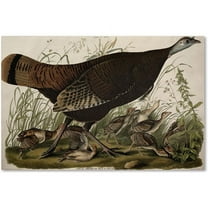 Trademark Fine Art "Great American Hen and Young" Canvas Art by John James Audubon
