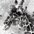 thumbnail image 2 of Robinson, Carol 15x15 White Modern Wood Framed Museum Art Print Titled - Giraffe, 2 of 4