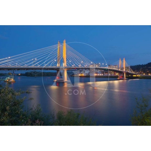 Tilikum Crossing bridge at night, Portland, Multnomah County, Oregon, USA, Scenic Unframed Photographic Print Wall Art Sold by Art.Com