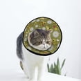 thumbnail image 1 of Bees Flowers Soft Cat Dog Recovery Collar Adjustable Cat Cone Wound Healing Protective After Surgery for Medium Dogs, 1 of 7