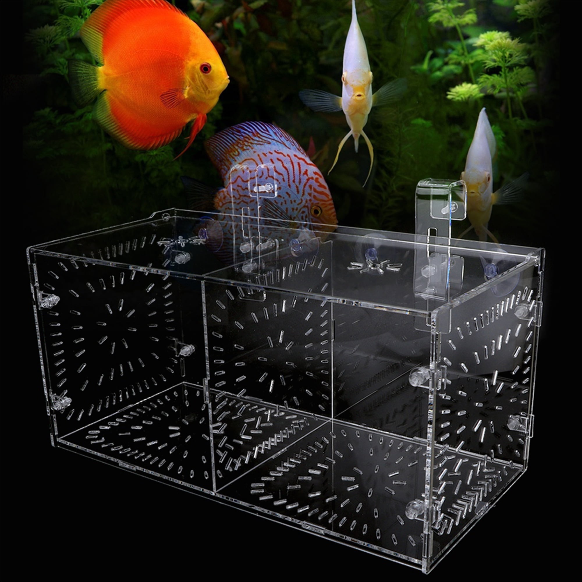 4.922.752.75inch Ruiqas Acrylic Aquarium Fish Breeder Box Perfect Hatching Incubator Isolation Box Wall Mounted Double Layer 