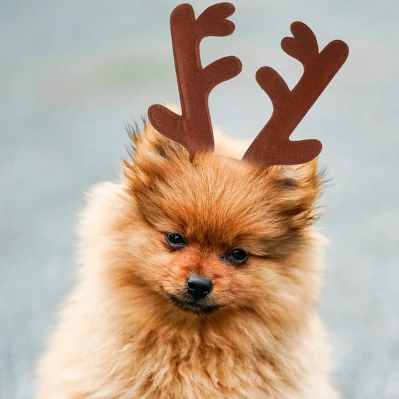 LEORX Antler Hairband for Pet Light Brown Plush Comfortable Wear 1Pcs