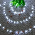 thumbnail image 5 of Led String Lights Net Mesh Lights 8 Modes 5ft x 5ft 96 Led Expandable Christmas Net Lights for Christmas Wedding Party Home Garden Lawn Bushes Indoor Outdoor Decor(Cool White), 5 of 5