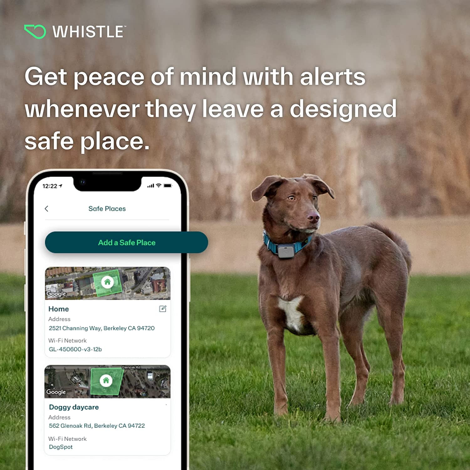 Whistle Go Explore Dog GPS Tracking Device and Pet Health Monitoring System, Grey | Fits Most Collars