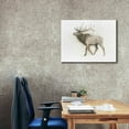 thumbnail image 3 of Epic Graffiti 'Elk' by James Wiens, Canvas Wall Art, 34"x26", 3 of 8