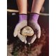 thumbnail image 5 of Guantes Protectores Watson Gloves Karma Sostenibles para Jardinería, 5 of 5