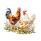 thumbnail image 4 of Calcomanía de pared decorativa de gallo y pollo, papel tapiz de PVC fácil de quitar para granja, comedor, sala de estar, ventanas de vidrio, 4 of 9