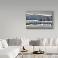 thumbnail image 3 of Trademark Fine Art 'Fog On The Water' Canvas Art by Ian Tornquist, 3 of 3