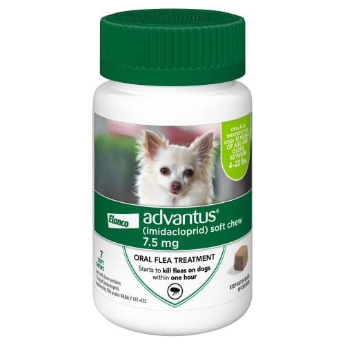Advantus (Imidacloprid) 7Count Flea Chews for Small Dogs 422 Pounds