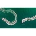 thumbnail image 3 of Kiwan, Jamal 14x10 Black Modern Framed Museum Art Print Titled - Sea Snake, 3 of 5
