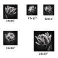 thumbnail image 4 of Designart "Close-up Of Black And White Tulip I" Floral Tulip Metal Art Living Room Set, 4 of 5
