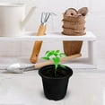 thumbnail image 3 of Raindrops 50pcs Small Plant Pots And Seedling Pots Tall Plant Pot Nursery Pots Bulk For Indoor And Outdoor Planter Plastic Plant Containers For Home And Garden Use, 3 of 8
