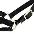 thumbnail image 4 of Jeffers Livestock Goat Halter, Small, Black – Safe & Adjustable for Milking, Training, and Travel; Ideal for Dairy, Show Goats, and Small Livestock; - Protection & Accessories for Goats., 4 of 7
