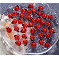 thumbnail image 1 of 100 piezas lindas accesorios de decoración de uñas de mariquita roja for arte de uñas, 1 of 2
