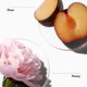 thumbnail image 2 of Perfume Clinique My Happy Peony Picnic 15 ml para mujer, 2 of 5