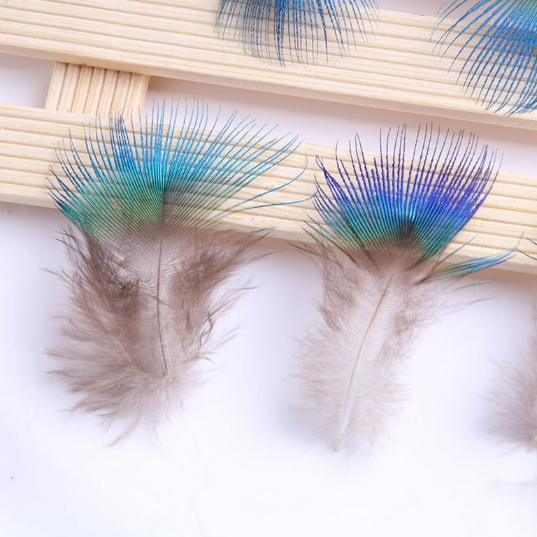 Remake of Peacock Feather, With Cloth & Feather Pieces! : 10 Steps -  Instructables