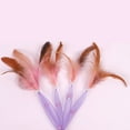 thumbnail image 4 of 2PCS Cat Feather Teaser Fake Pearl Cute Cat Teaser Wand Kitten Play Toy, 4 of 10