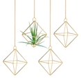 thumbnail image 1 of Uxcell 2-Pack Soportes Colgantes para Plantas de Aire, Soporte Geométrico de Metal en Forma de Cubo con Cadenas de Metal [Tono Dorado, 3.3" H], 1 of 6