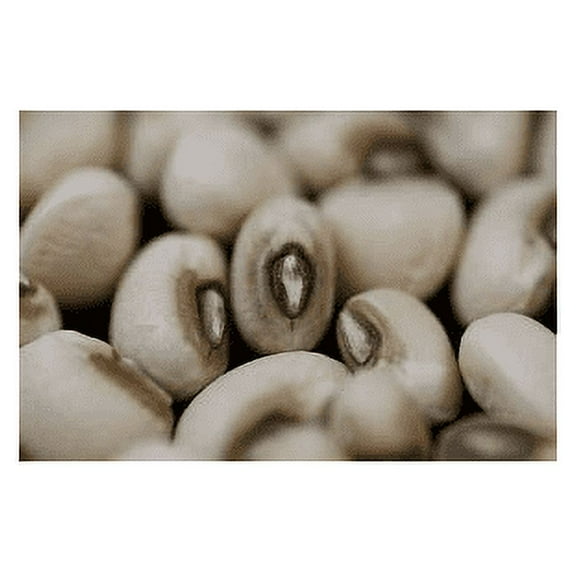 Pea Blackeye Great Heirloom Vegetable by Seed Kingdom Bulk 1 Lb Seeds